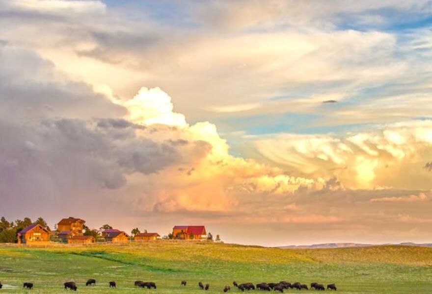 Zion Mountain Ranch