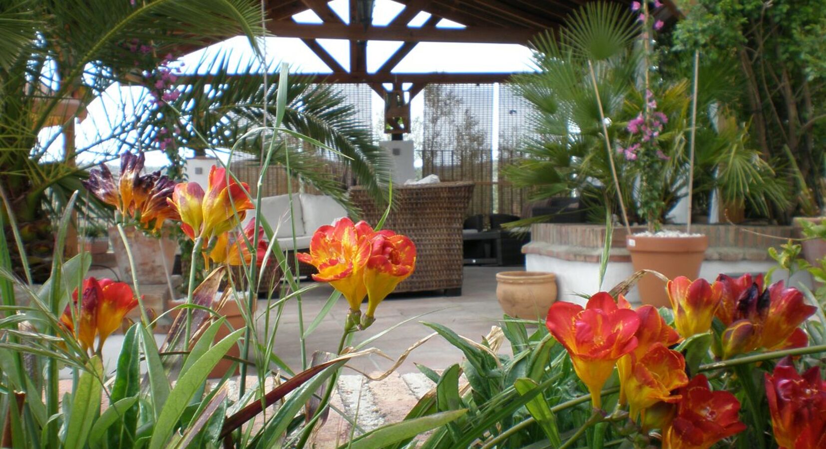 Shaded outdoor seating