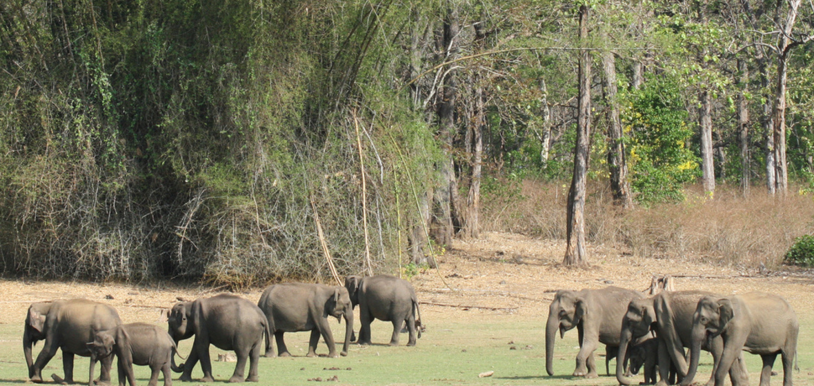 Photo of Kabini River