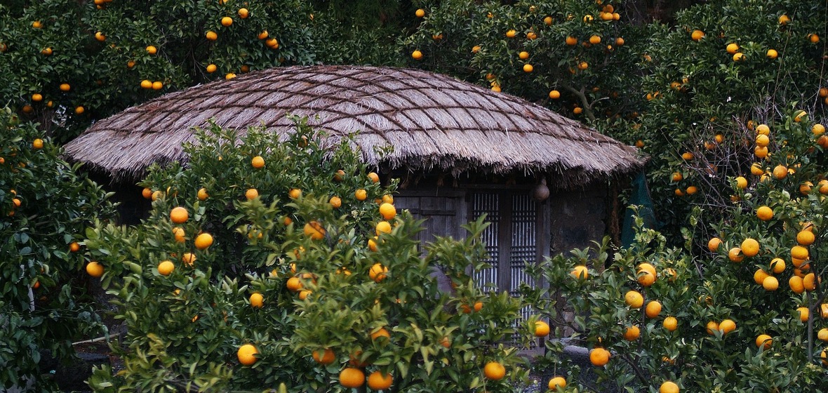 Photo of Jeju Island