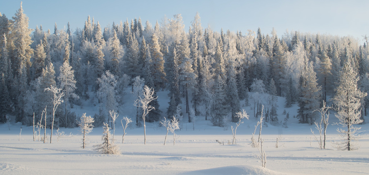 Foto von Ruka