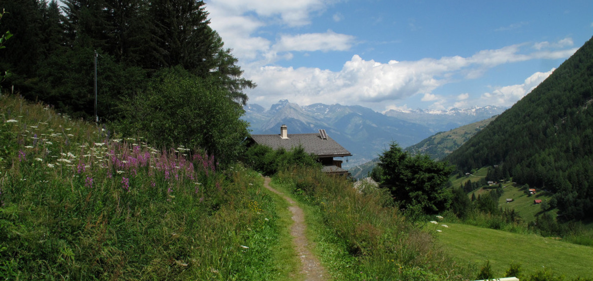 Foto von Haute Nendaz