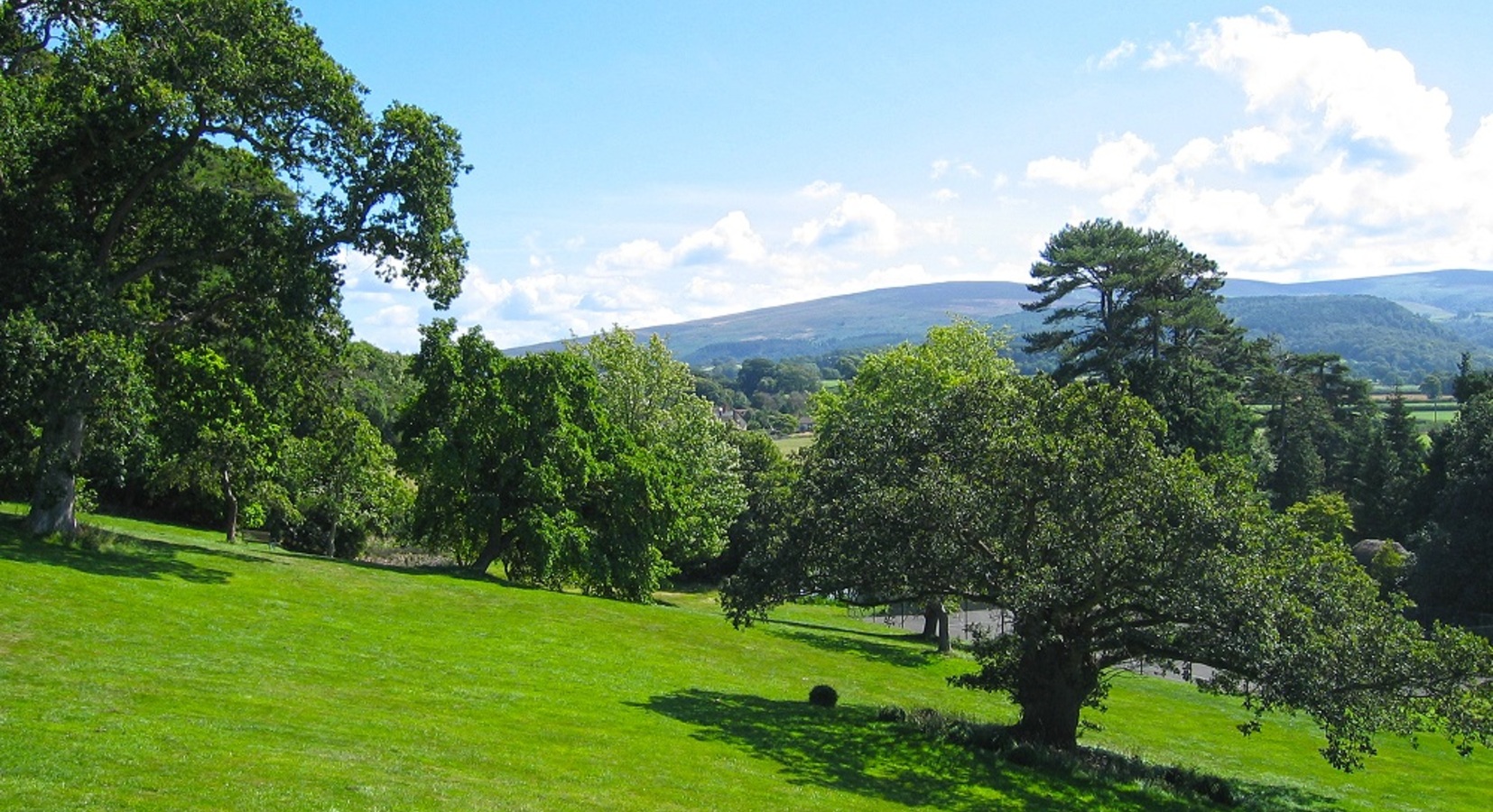 Exmoor View