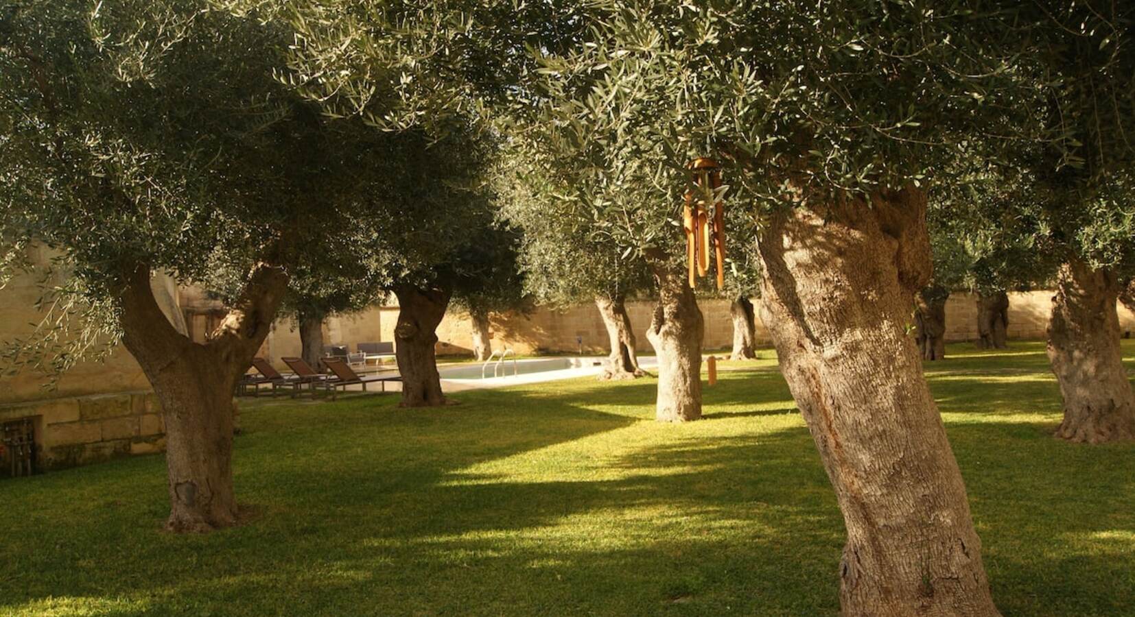 Garden and pool