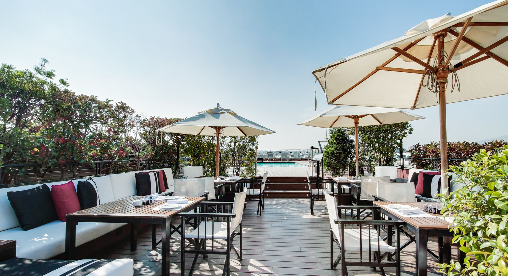 Rooftop Pool and Terrace