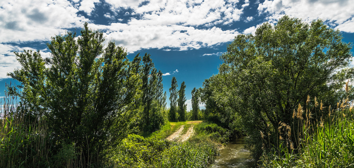 Photo of Schutzen am Gebirge