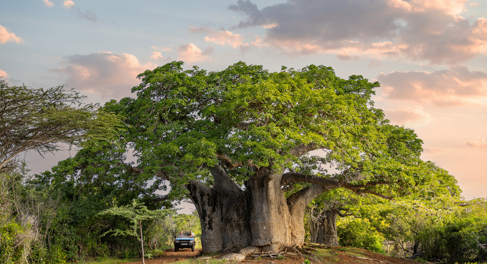 Complimentary Activity Game Drive through Manda Conservancy 