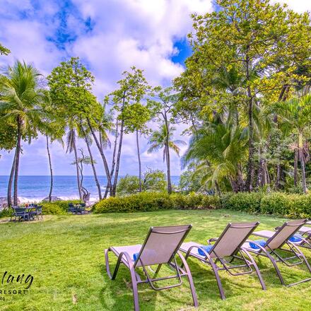 Garden loungers with beach beyond