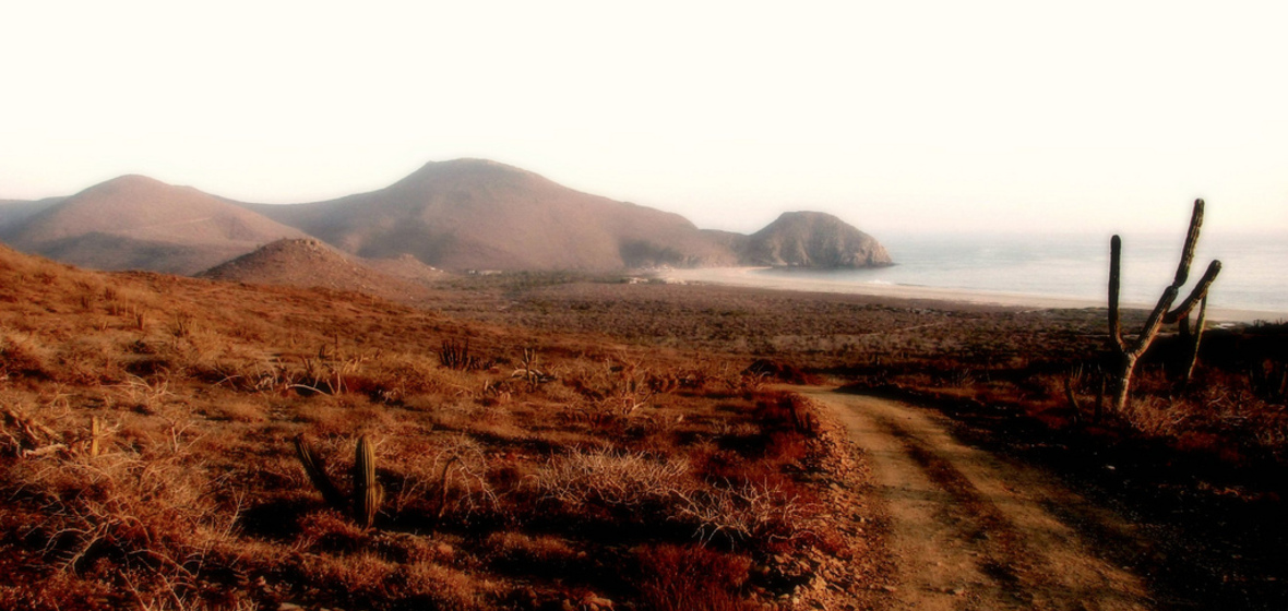 Photo of Todos Santos