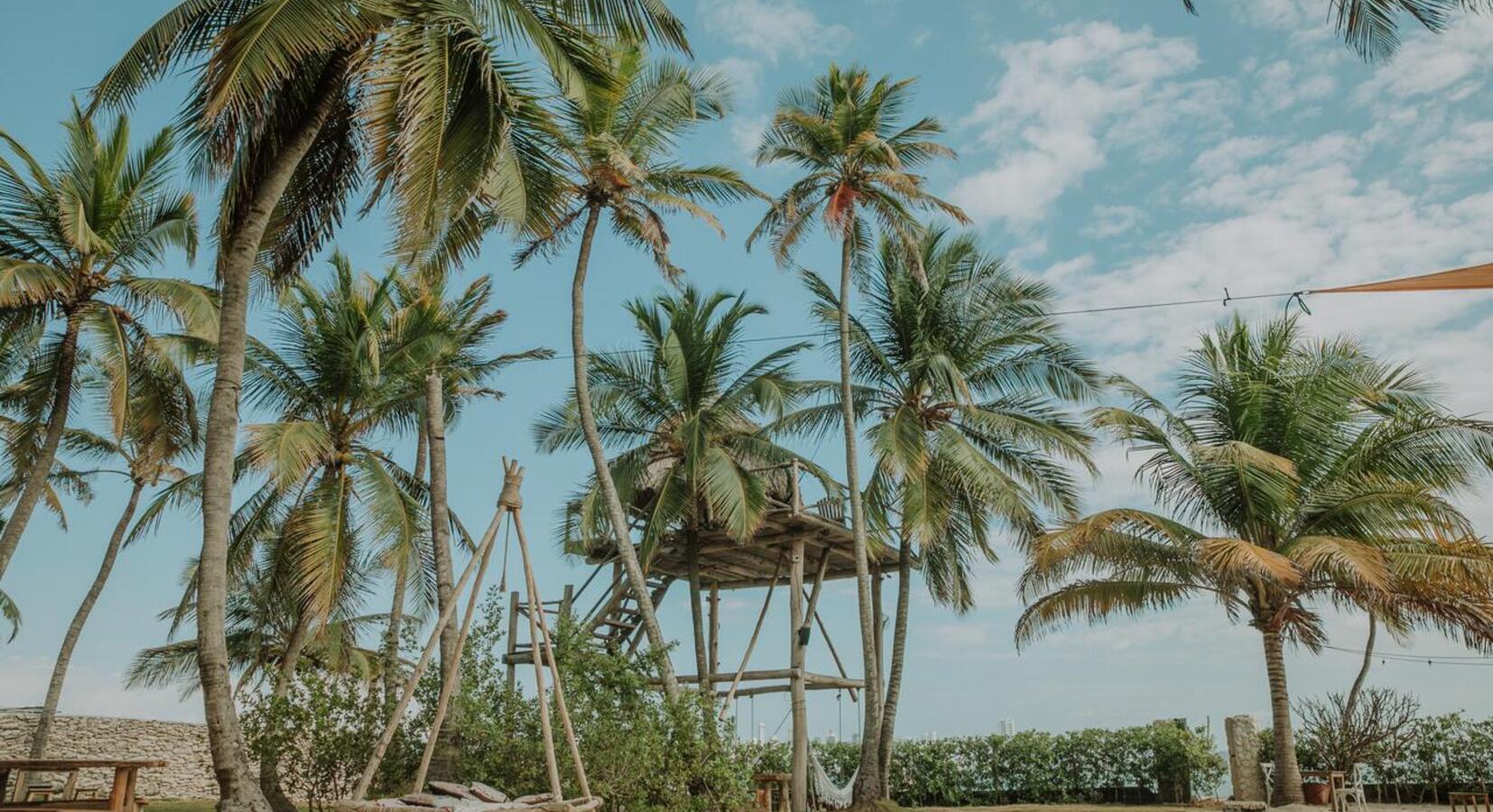 Beach Treehouse