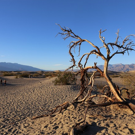 The Best Hotels near Death Valley National Park