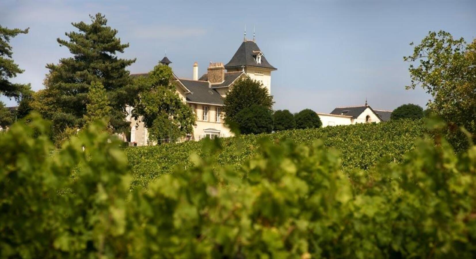 Photo of Domaine de la Soucherie 