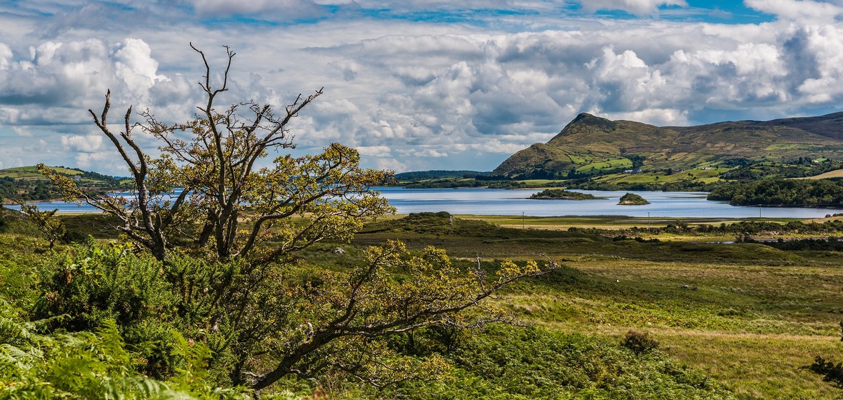 Photo of County Galway