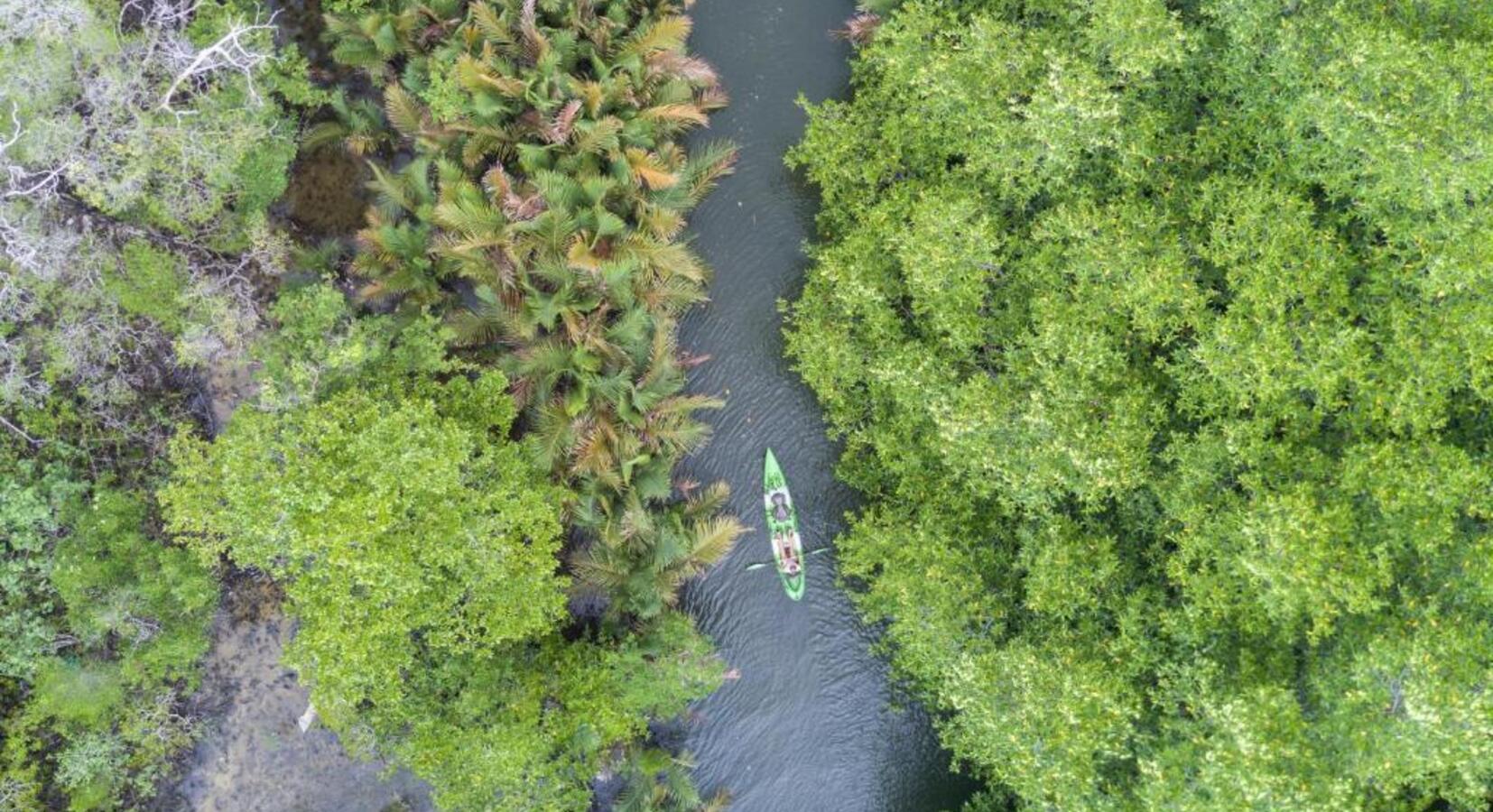 Kayaking on the Tatai River