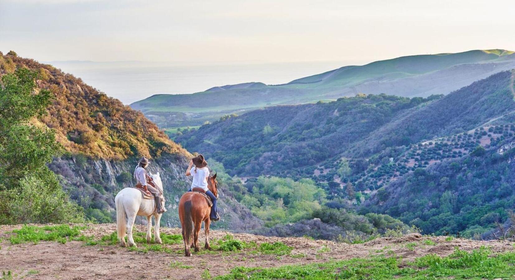 Horse Riding