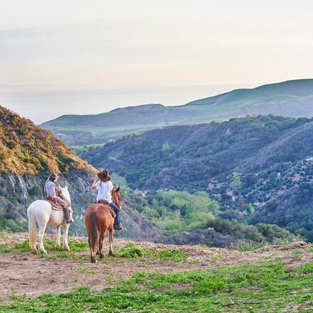 Horse Riding