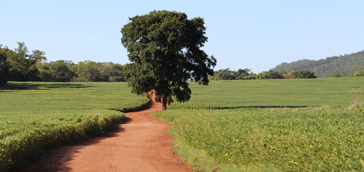 Photo de Mato Grosso