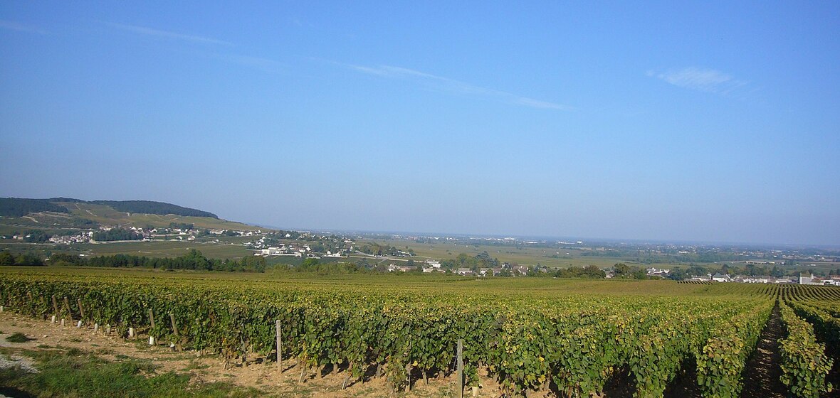 Photo of Puligny-Montrachet