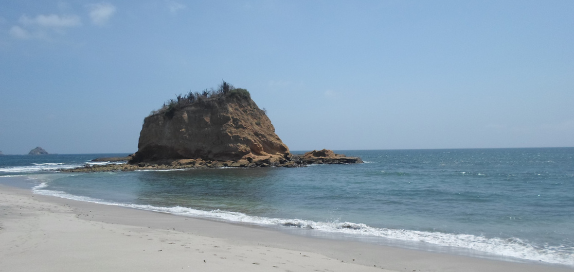 Photo of Manabi