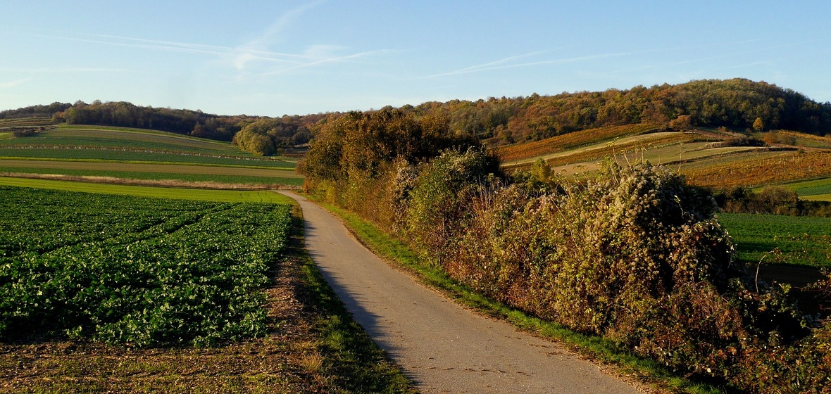 Photo of Burgenland