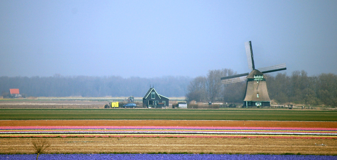 Photo of The Netherlands