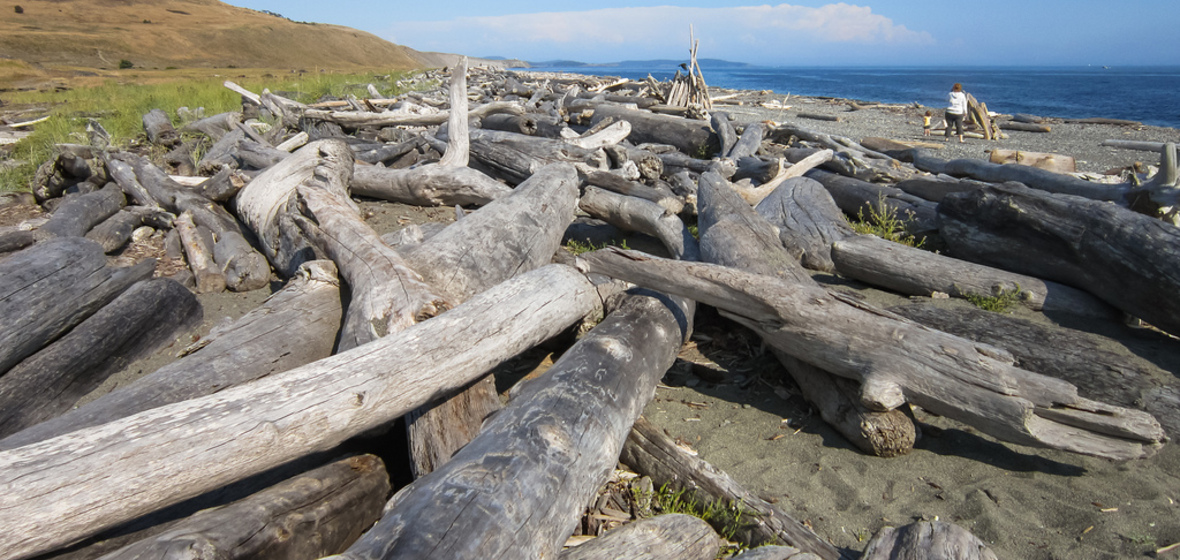 Foto von San Juan Islands