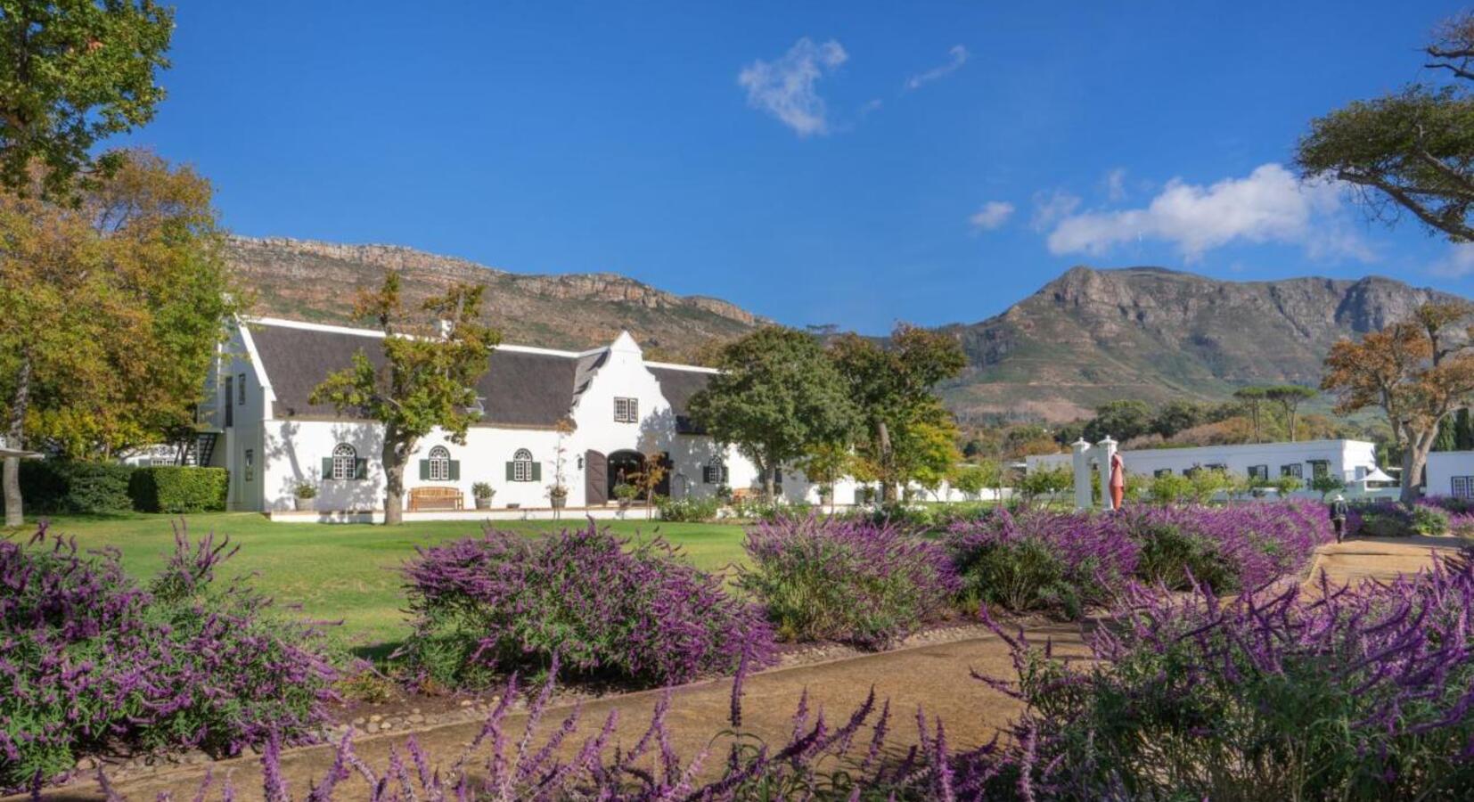 Photo de Steenberg Farm