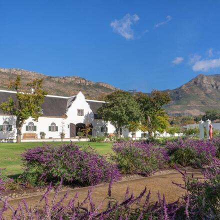 Steenberg Farm