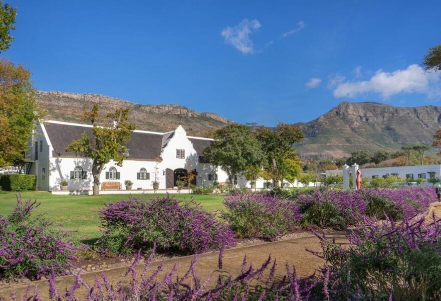 Steenberg Farm