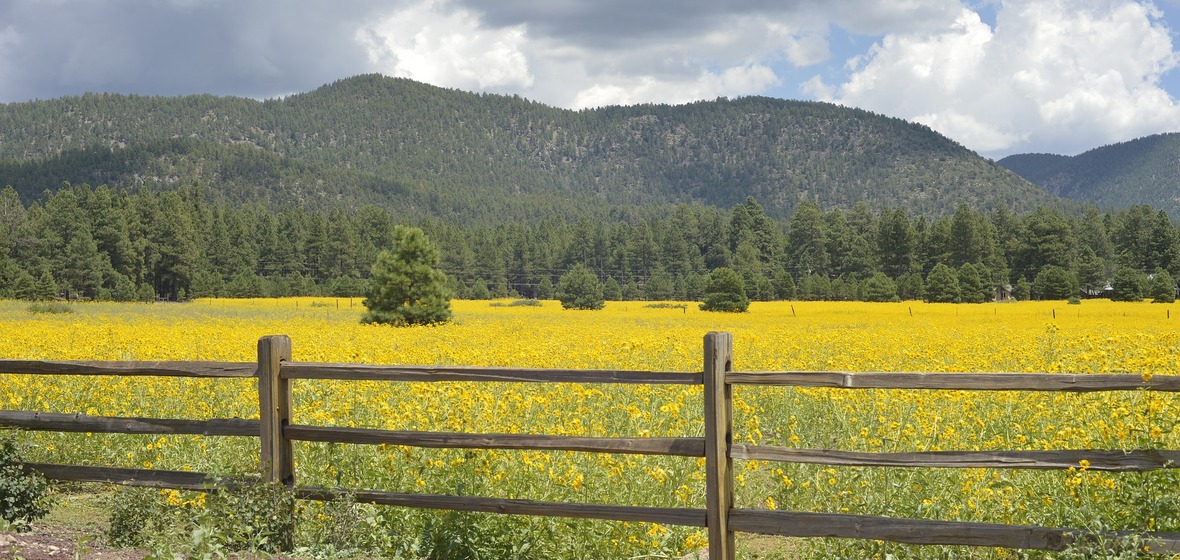 Photo of Flagstaff