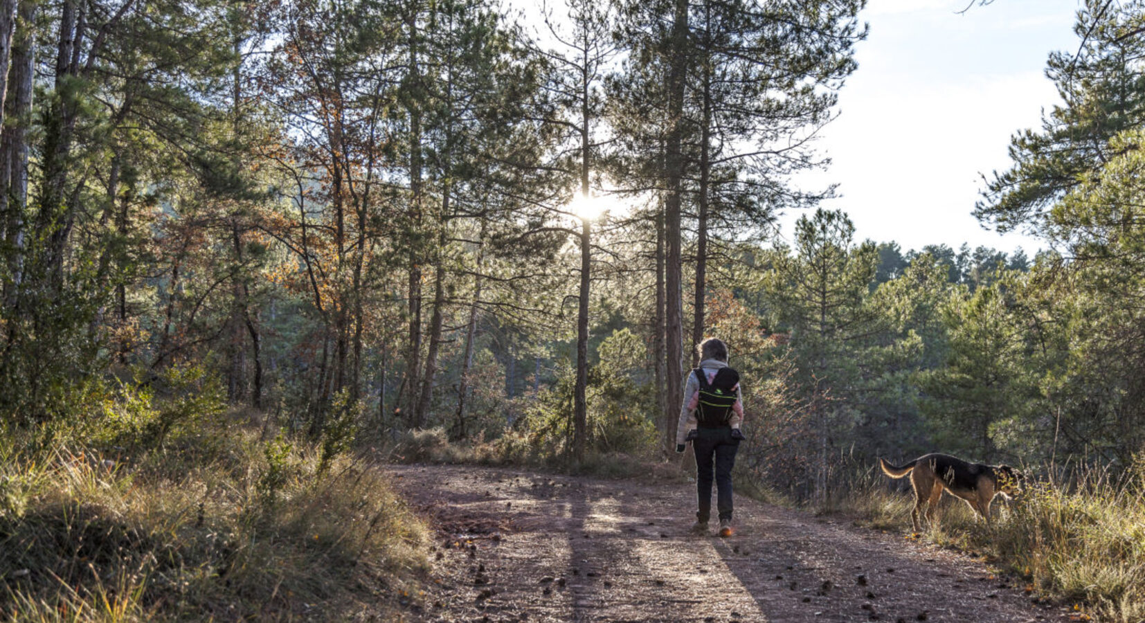 Hikes