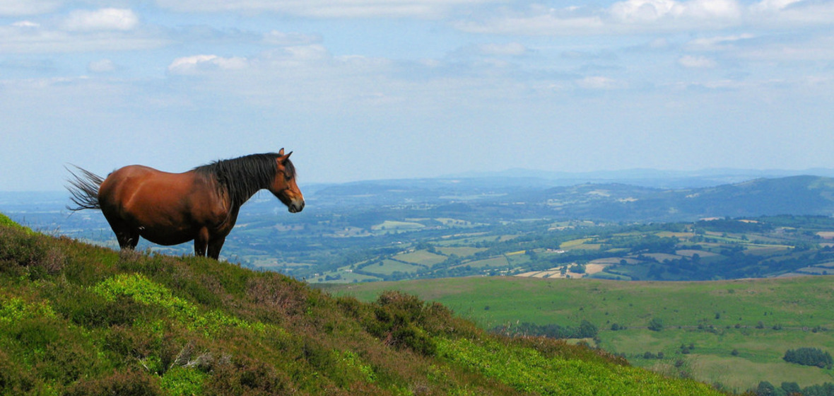 Foto von Abergavenny