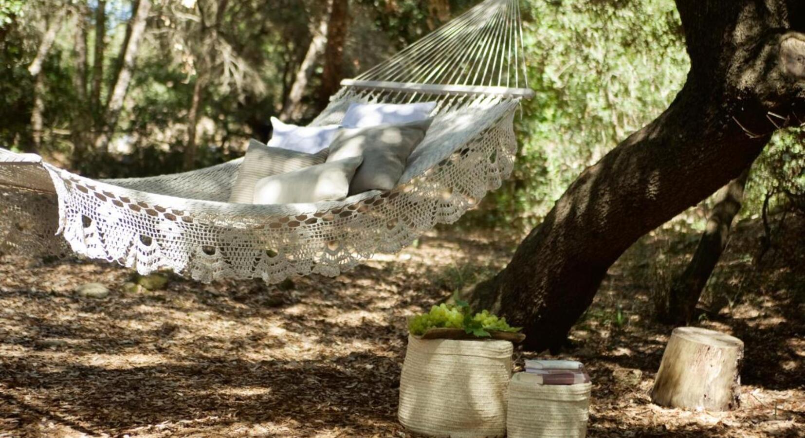 Hammock