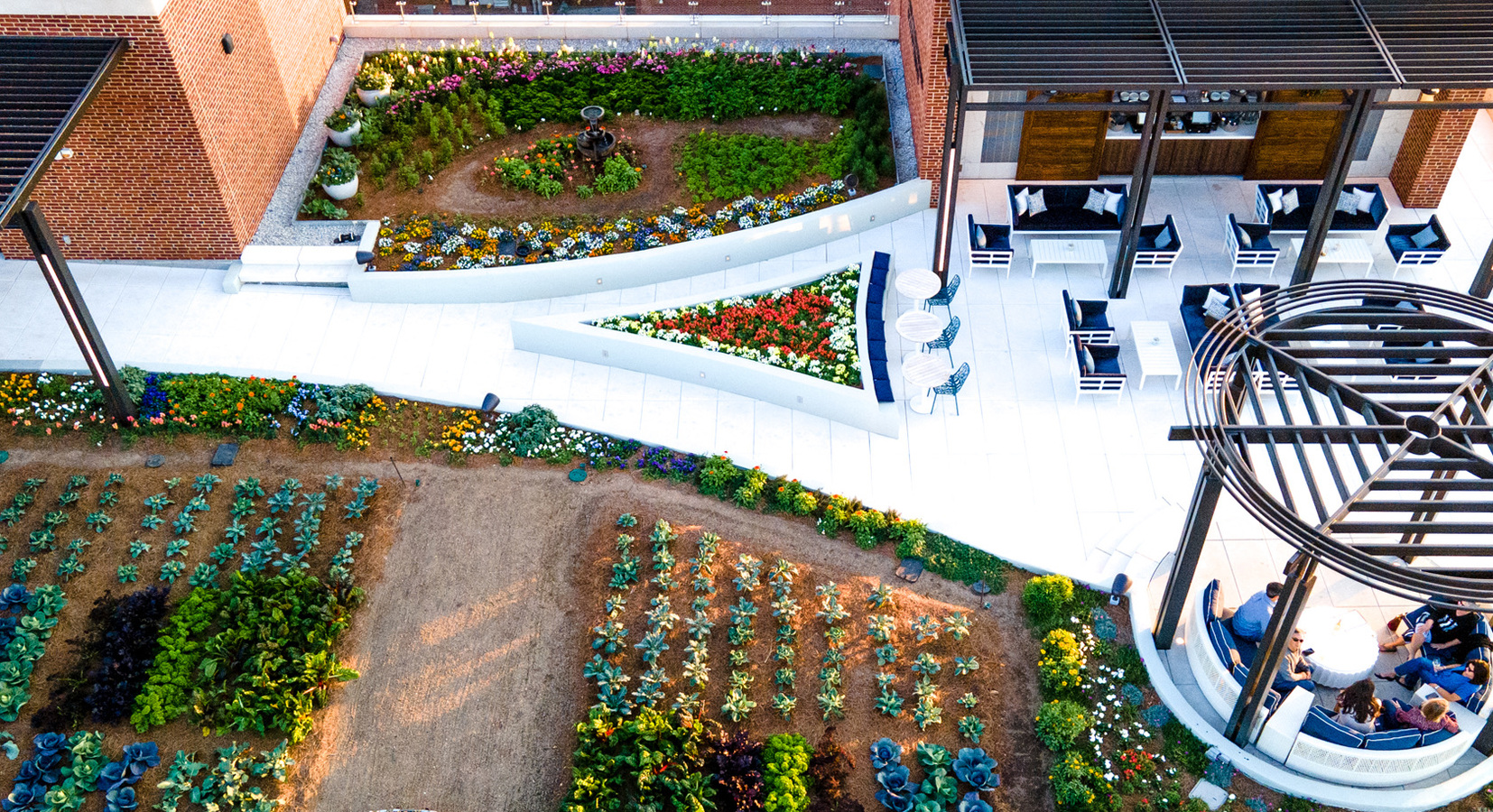 Rooftop Garden and Terrace