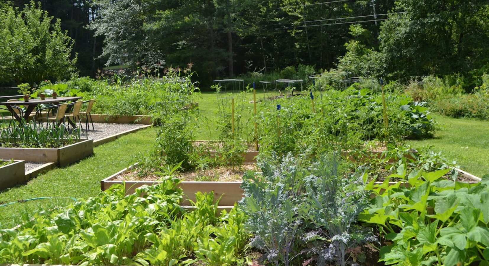 Kitchen Garden