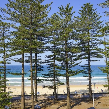 Les meilleurs hôtels de Manly, Sydney