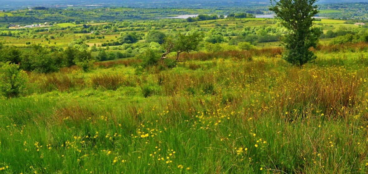 Foto von County Tyrone