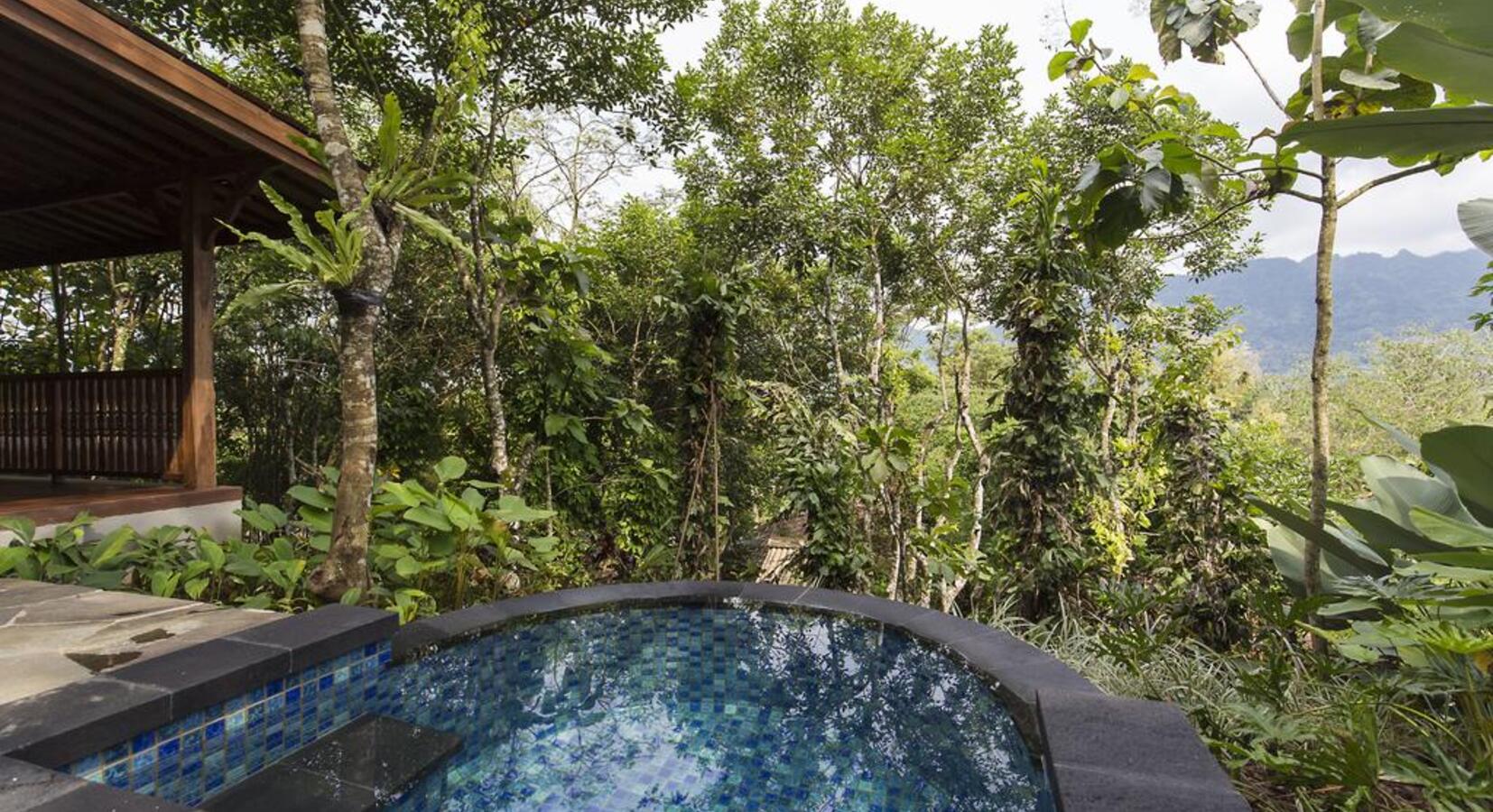 Private Plunge Pool