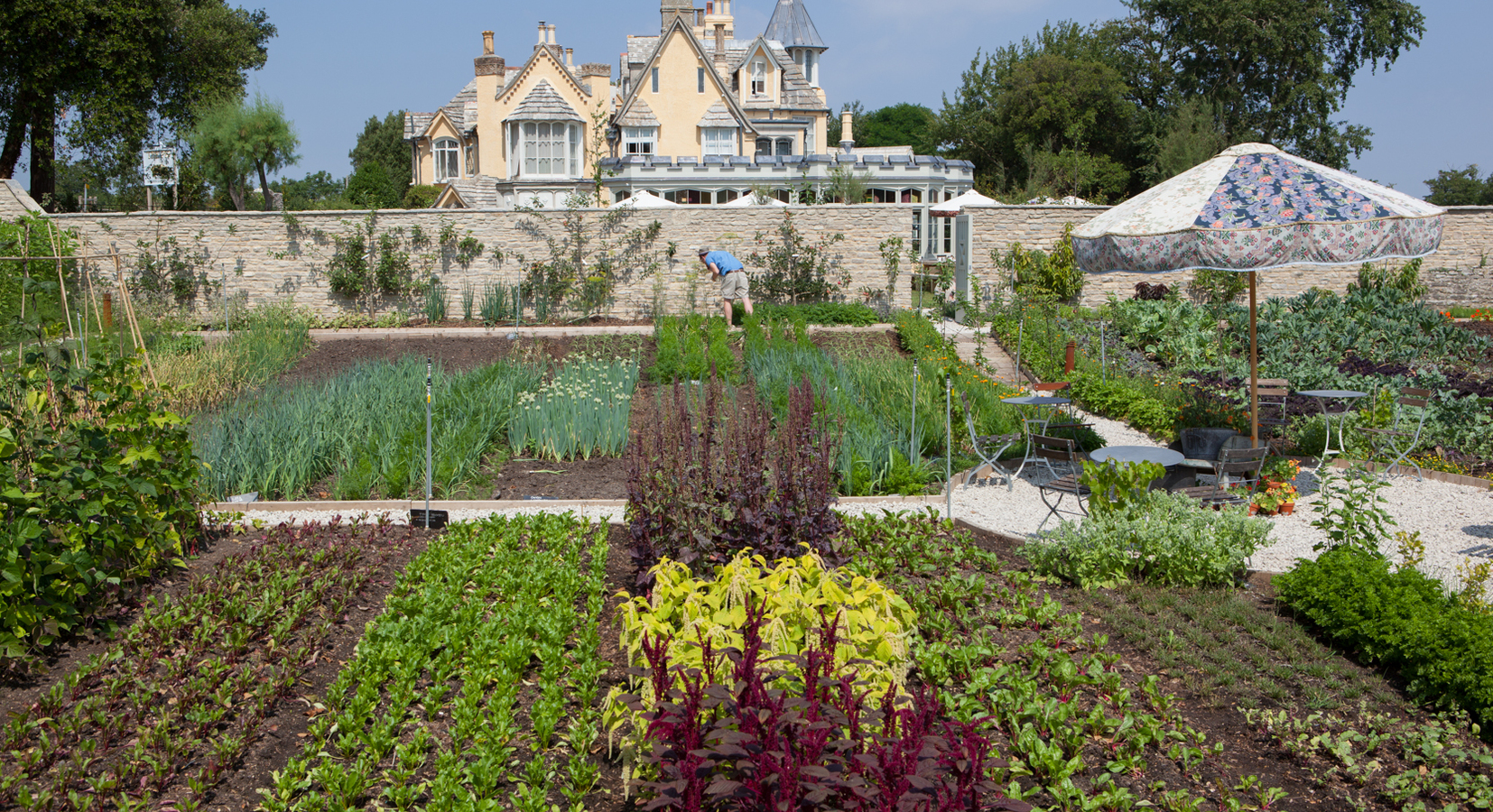 Kitchen Garden