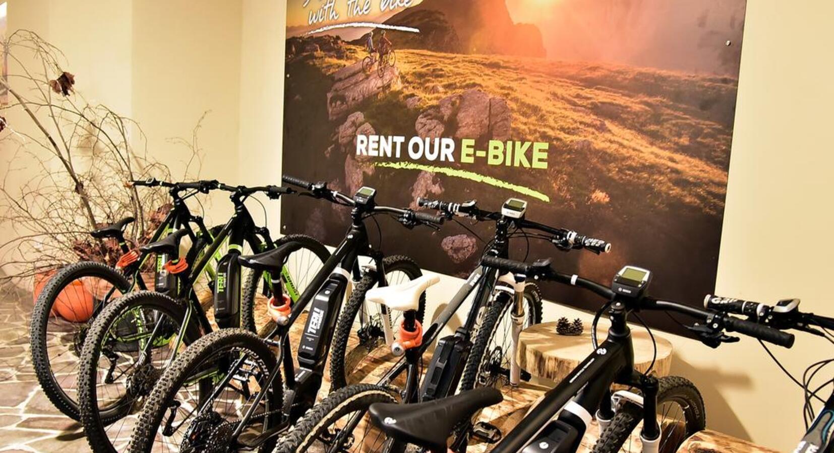 Hotel bikes to rent