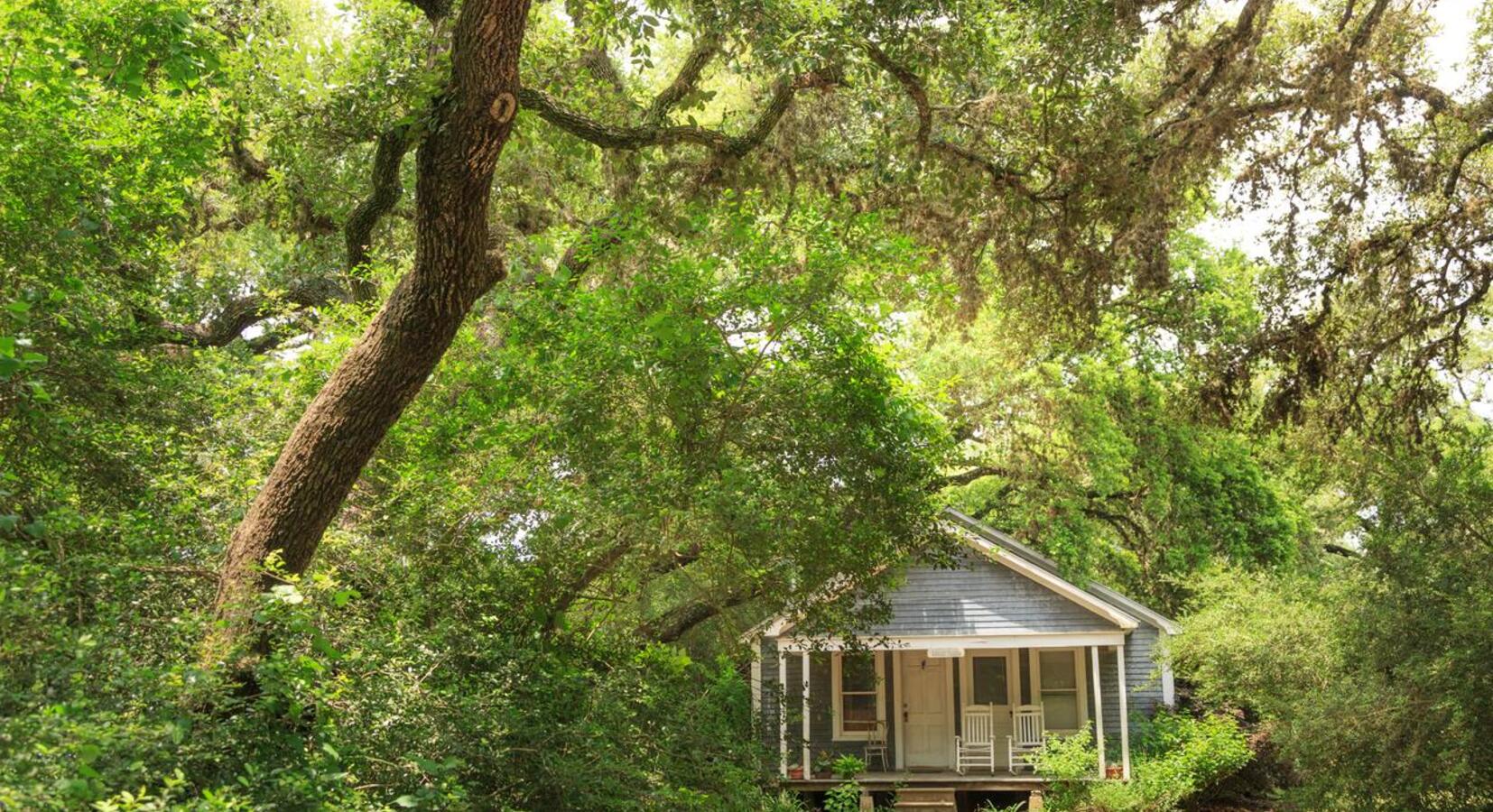 The Bluebonnet Bungalow