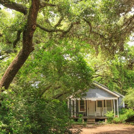 The Bluebonnet Bungalow