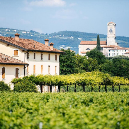 Les 7 meilleurs hôtels viticoles de la région de Valpolicella