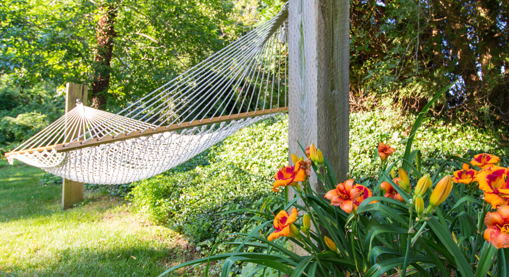 Hammock in the garden