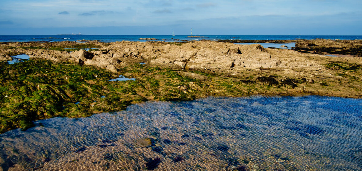 Foto von Ile de Noirmoutier