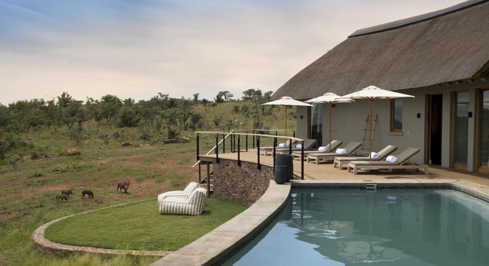 Photo of Mhondoro Safari Lodge & Villa 