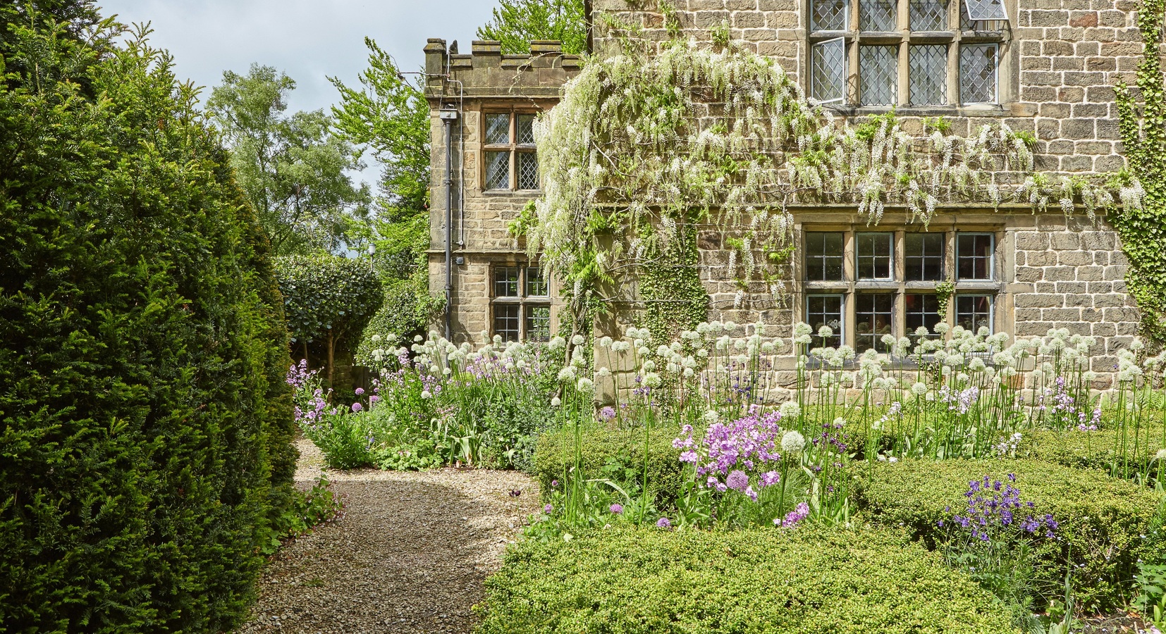 Garden Wisteria - The Peacock at Rowsley