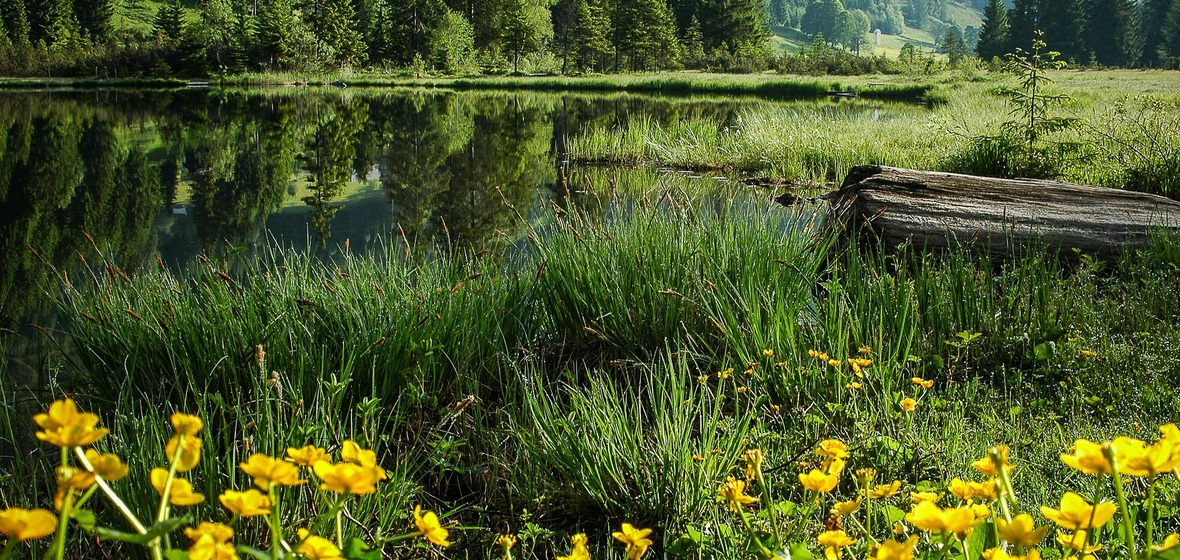 Foto von Steiermark