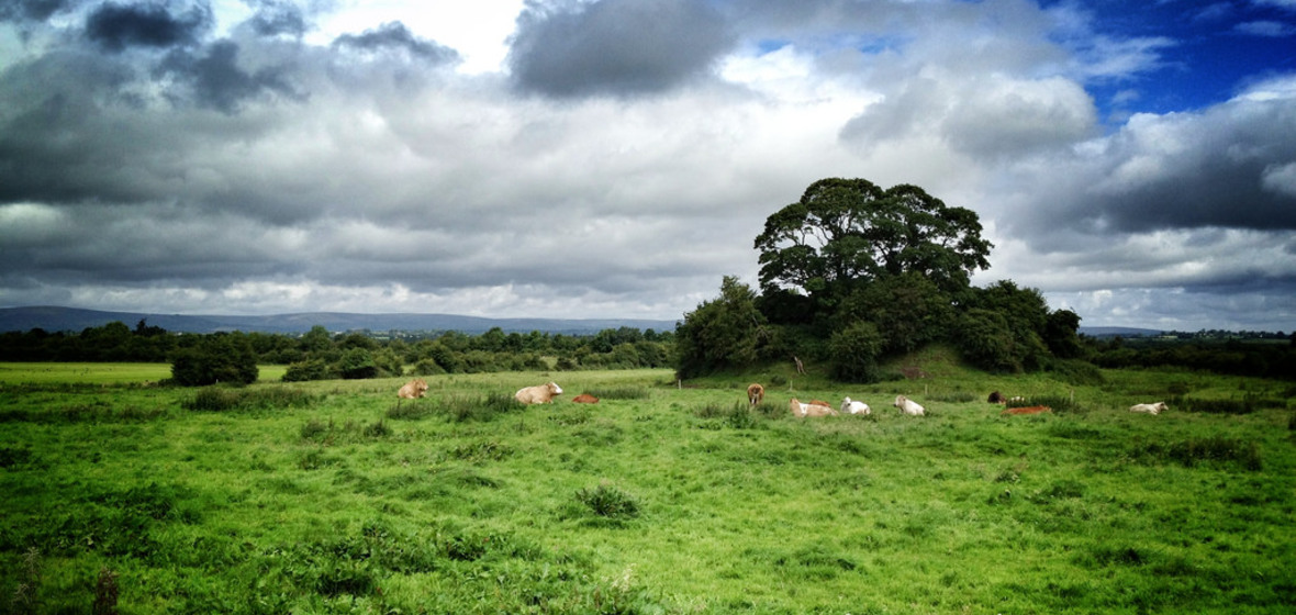 Photo of County Laois