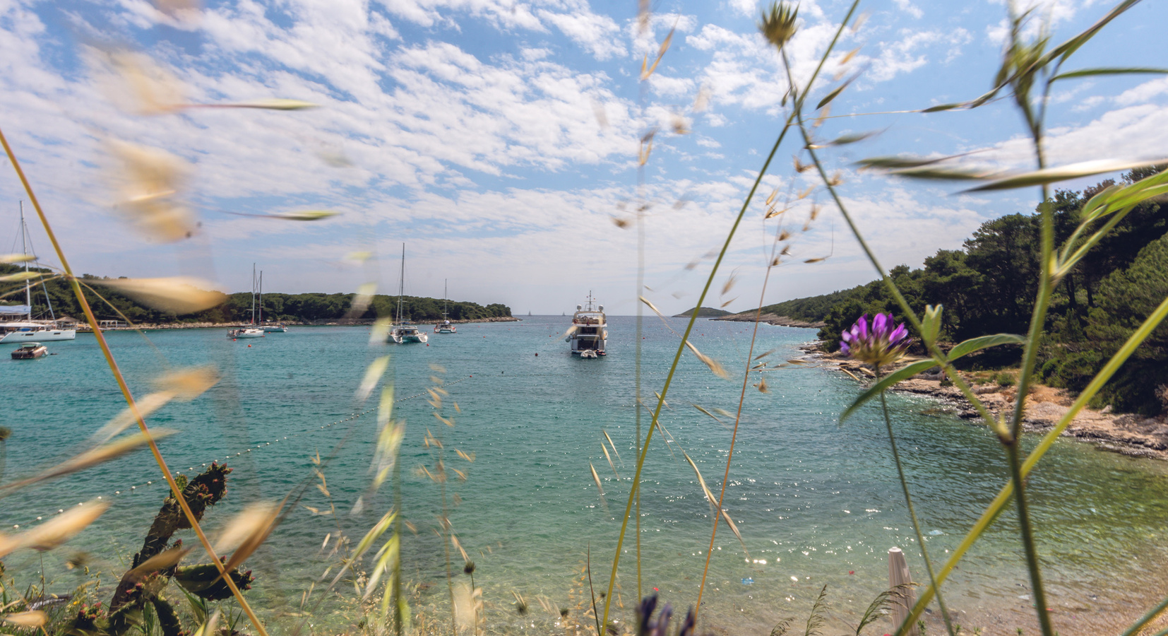 View of the southern bay of Palmizana